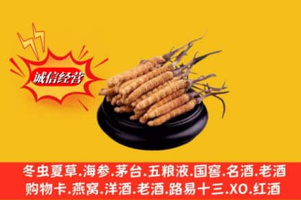 天津市河北求购回收虫草多少钱每克